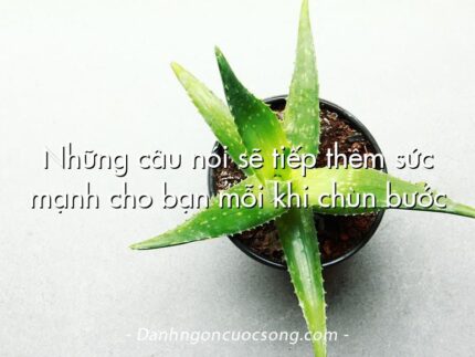 Những câu nói sẽ tiếp thêm sức mạnh cho bạn mỗi khi chùn bước