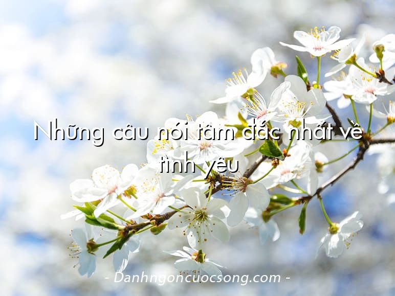 Những câu nói tâm đắc nhất về tình yêu