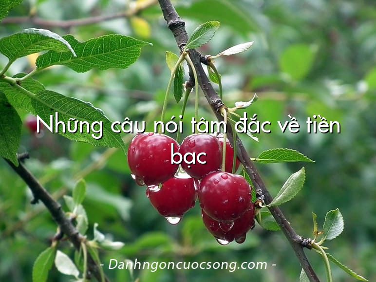 Những câu nói tâm đắc về tiền bạc