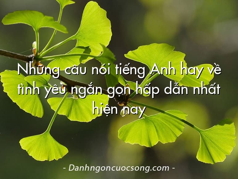 Những câu nói tiếng Anh hay về tình yêu ngắn gọn hấp dẫn nhất hiện nay