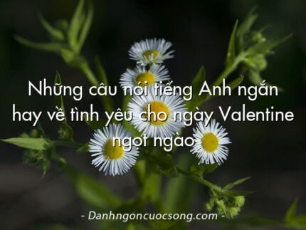 Những câu nói tiếng Anh ngắn hay về tình yêu cho ngày Valentine ngọt ngào