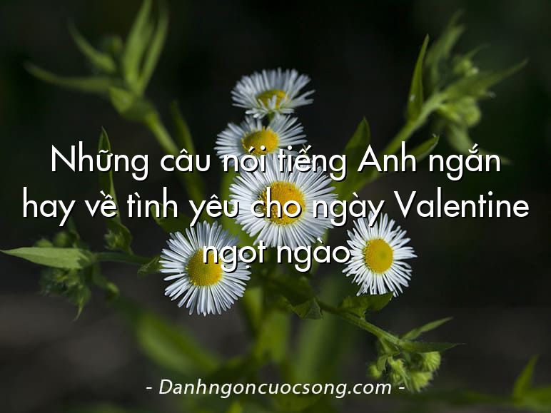 Những câu nói tiếng Anh ngắn hay về tình yêu cho ngày Valentine ngọt ngào