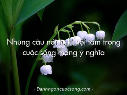 Những câu nói tự kỉ nội tâm trong cuộc sống mang ý nghĩa