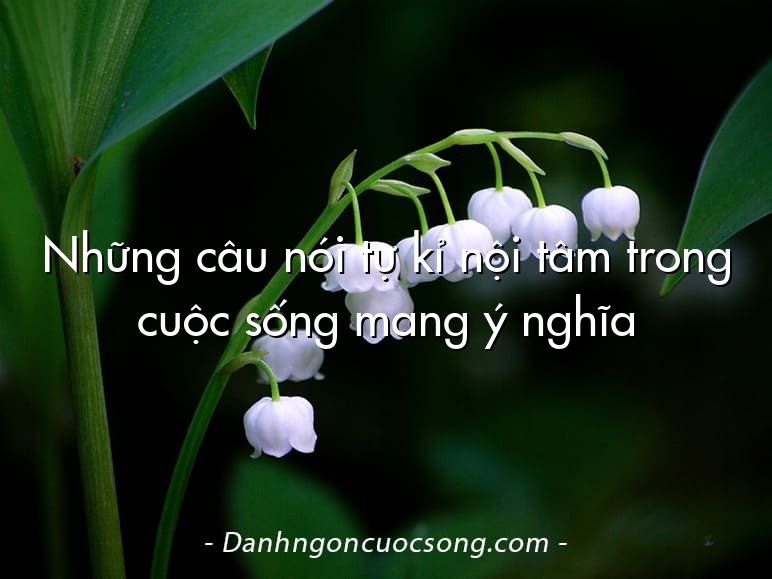 Những câu nói tự kỉ nội tâm trong cuộc sống mang ý nghĩa