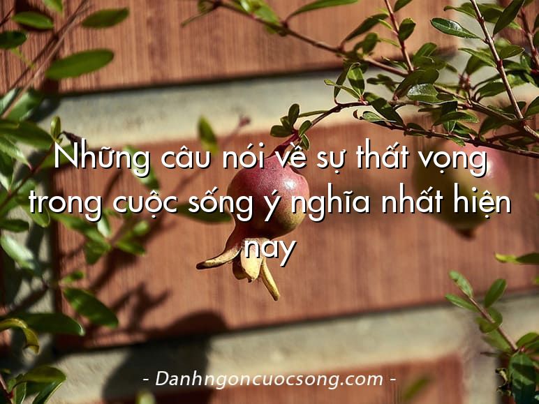 Những câu nói về sự thất vọng trong cuộc sống ý nghĩa nhất hiện nay