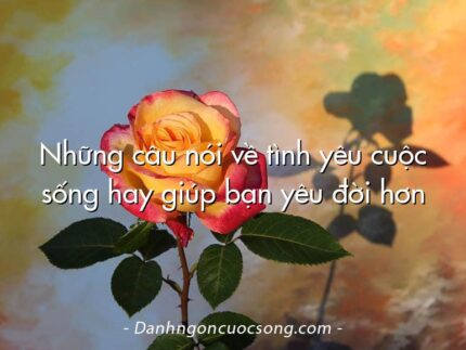 Những câu nói về tình yêu cuộc sống hay giúp bạn yêu đời hơn