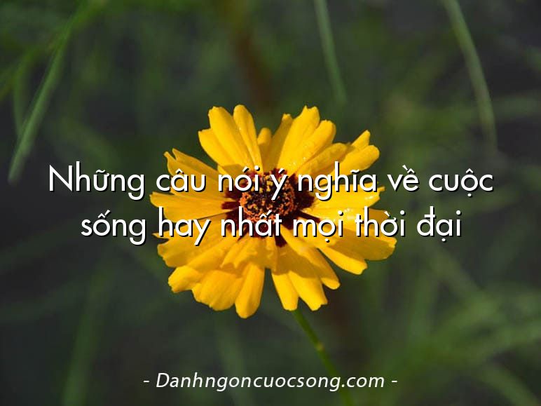 Những câu nói ý nghĩa về cuộc sống hay nhất mọi thời đại