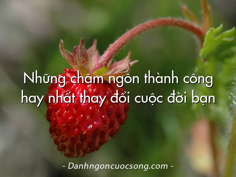 Những châm ngôn thành công hay nhất thay đổi cuộc đời bạn