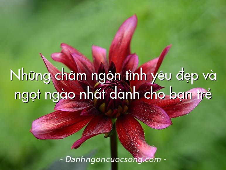Những châm ngôn tình yêu đẹp và ngọt ngào nhất dành cho bạn trẻ