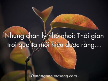 Những chân lý nhỏ nhoi: Thời gian trôi qua ta mới hiểu được rằng…