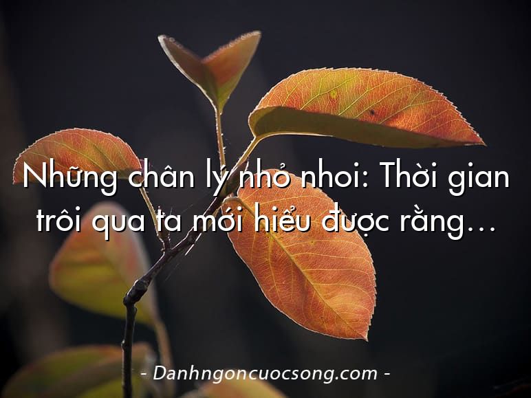 Những chân lý nhỏ nhoi: Thời gian trôi qua ta mới hiểu được rằng…