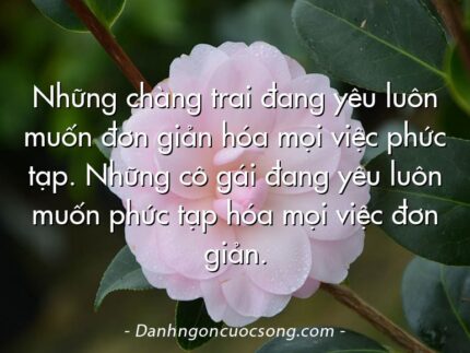 Những chàng trai đang yêu luôn muốn đơn giản hóa mọi việc phức tạp. Những cô gái đang yêu luôn muốn phức tạp hóa mọi việc đơn giản.