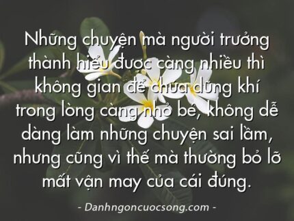 Những chuyện mà người trưởng thành hiểu được càng nhiều thì không gian để chứa dũng khí trong lòng càng nhỏ bé, không dễ dàng làm những chuyện sai lầm, nhưng cũng vì thế mà thường bỏ lỡ mất vận may của cái đúng.