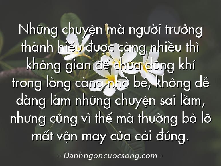 Những chuyện mà người trưởng thành hiểu được càng nhiều thì không gian để chứa dũng khí trong lòng càng nhỏ bé, không dễ dàng làm những chuyện sai lầm, nhưng cũng vì thế mà thường bỏ lỡ mất vận may của cái đúng.