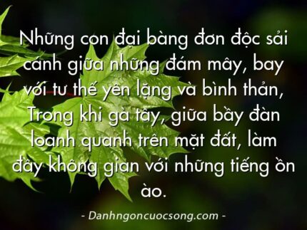 Những con đại bàng đơn độc sải cánh giữa những đám mây, bay với tư thế yên lặng và bình thản, Trong khi gà tây, giữa bầy đàn loanh quanh trên mặt đất, làm đầy không gian với những tiếng ồn ào.