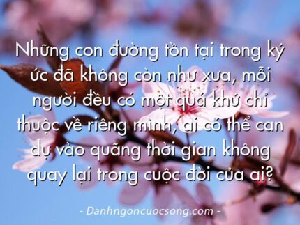 Những con đường tồn tại trong ký ức đã không còn như xưa, mỗi người đều có một quá khứ chỉ thuộc về riêng mình, ai có thể can dự vào quãng thời gian không quay lại trong cuộc đời của ai?