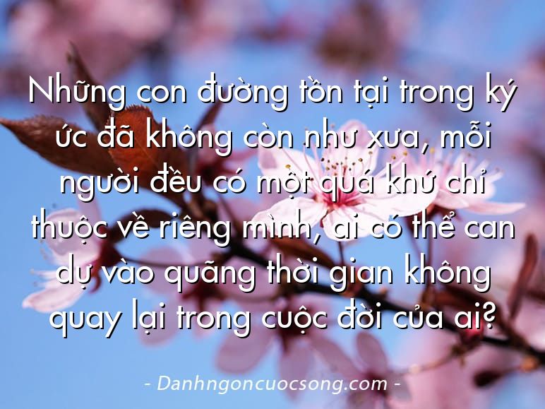 Những con đường tồn tại trong ký ức đã không còn như xưa, mỗi người đều có một quá khứ chỉ thuộc về riêng mình, ai có thể can dự vào quãng thời gian không quay lại trong cuộc đời của ai?