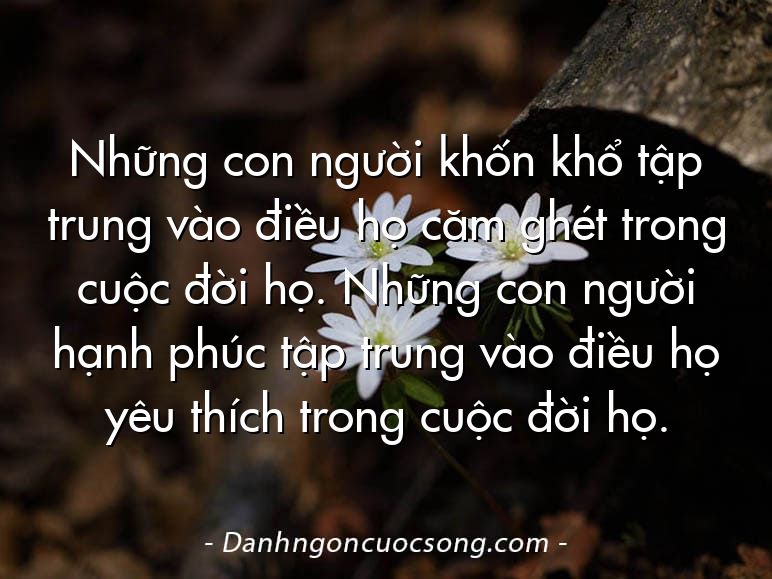 Những con người khốn khổ tập trung vào điều họ căm ghét trong cuộc đời họ. Những con người hạnh phúc tập trung vào điều họ yêu thích trong cuộc đời họ.