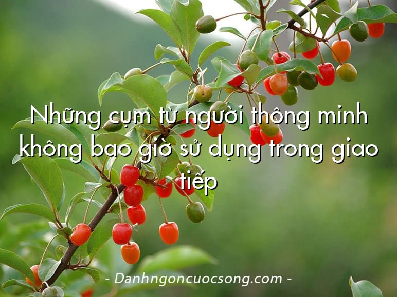 Những cụm từ người thông minh không bao giờ sử dụng trong giao tiếp