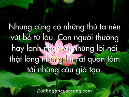 Nhưng cũng có những thứ ta nên vứt bỏ từ lâu. Con người thường hay lạnh nhạt với những lời nói thật lòng nhưng lại rất quan tâm tới những câu giả tạo.