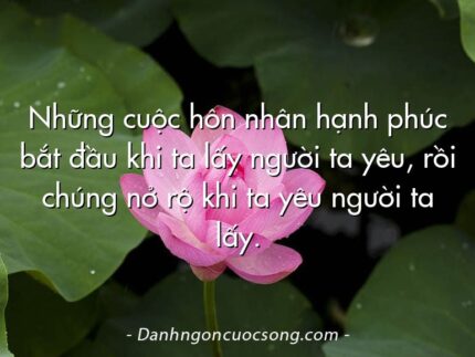 Những cuộc hôn nhân hạnh phúc bắt đầu khi ta lấy người ta yêu, rồi chúng nở rộ khi ta yêu người ta lấy.