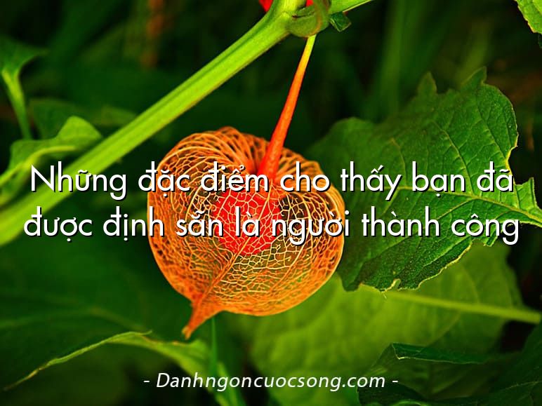 Những đặc điểm cho thấy bạn đã được định sẵn là người thành công