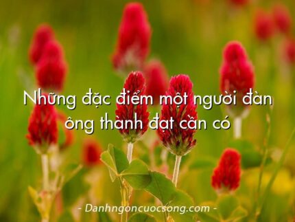 Những đặc điểm một người đàn ông thành đạt cần có