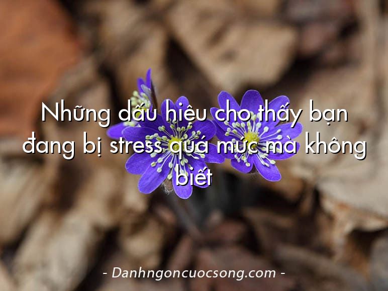 Những dấu hiệu cho thấy bạn đang bị stress quá mức mà không biết