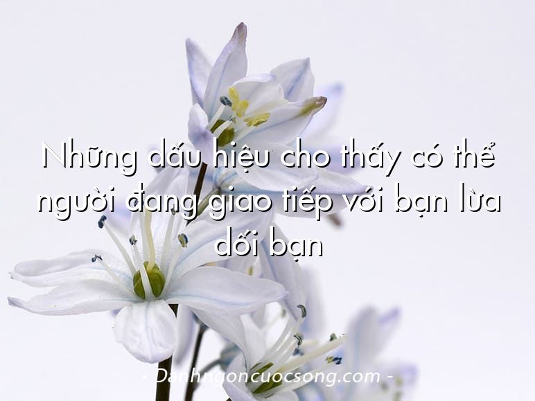 Những dấu hiệu cho thấy có thể người đang giao tiếp với bạn lừa dối bạn