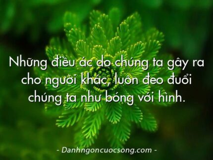 Những điều ác do chúng ta gây ra cho người khác, luôn đeo đuổi chúng ta như bóng với hình.