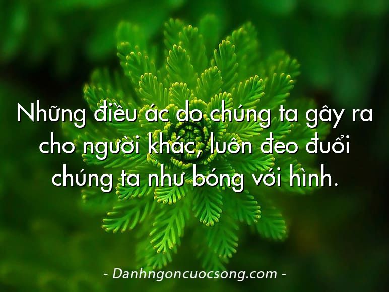 Những điều ác do chúng ta gây ra cho người khác, luôn đeo đuổi chúng ta như bóng với hình.