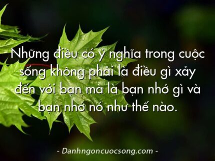 Những điều có ý nghĩa trong cuộc sống không phải là điều gì xảy đến với bạn mà là bạn nhớ gì và bạn nhớ nó như thế nào.