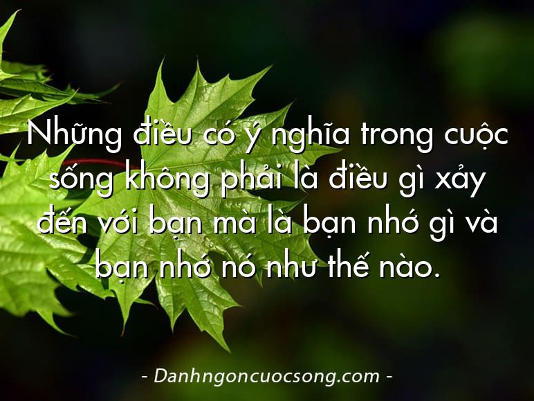 Những điều có ý nghĩa trong cuộc sống không phải là điều gì xảy đến với bạn mà là bạn nhớ gì và bạn nhớ nó như thế nào.