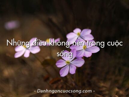 Những điều không nên trong cuộc sống
