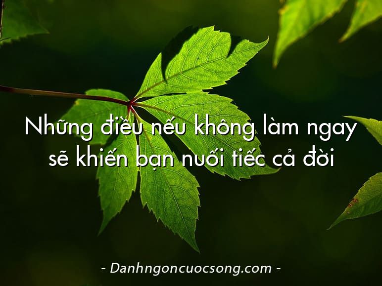 Những điều nếu không làm ngay sẽ khiến bạn nuối tiếc cả đời