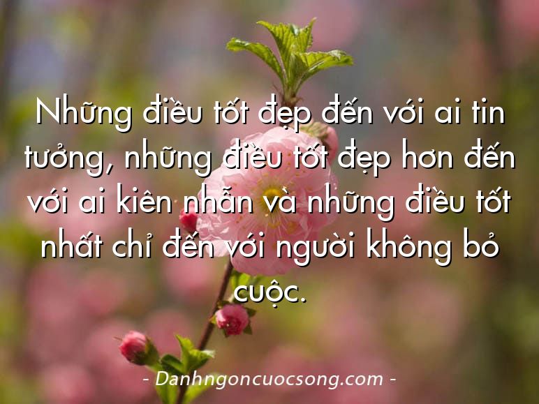 Những điều tốt đẹp đến với ai tin tưởng, những điều tốt đẹp hơn đến với ai kiên nhẫn và những điều tốt nhất chỉ đến với người không bỏ cuộc.