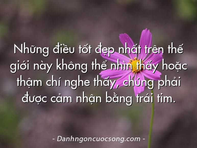 Những điều tốt đẹp nhất trên thế giới này không thể nhìn thấy hoặc thậm chí nghe thấy, chúng phải được cảm nhận bằng trái tim.