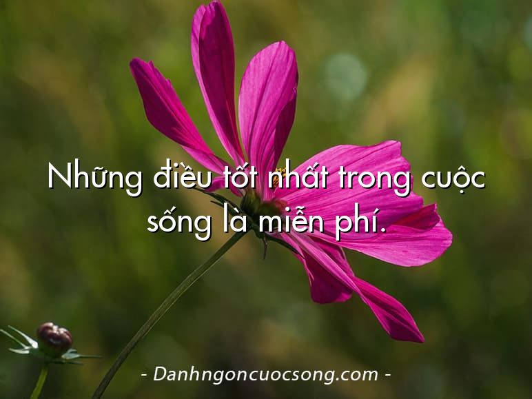 Những điều tốt nhất trong cuộc sống là miễn phí.