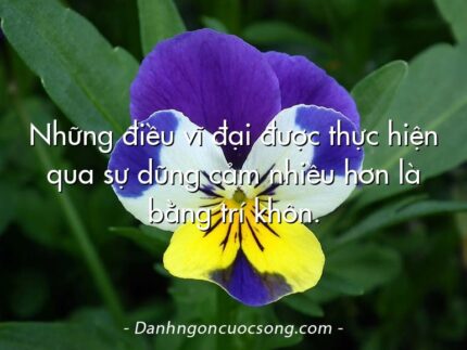 Những điều vĩ đại được thực hiện qua sự dũng cảm nhiều hơn là bằng trí khôn.
