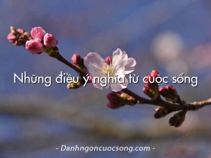 Những điều ý nghĩa từ cuộc sống