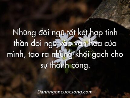 Những đội ngũ tốt kết hợp tinh thần đội ngũ vào văn hóa của mình, tạo ra những khối gạch cho sự thành công.