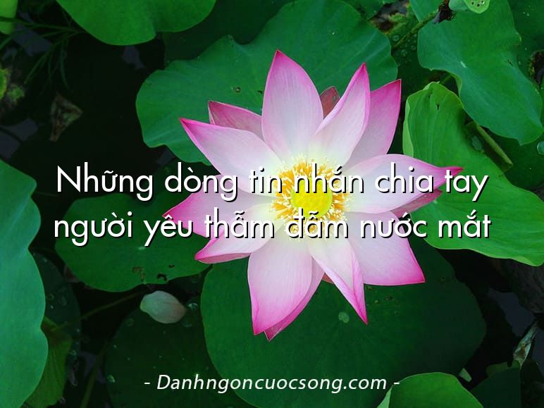 Những dòng tin nhắn chia tay người yêu thẫm đẫm nước mắt