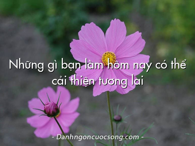 Những gì bạn làm hôm nay có thể cải thiện tương lai