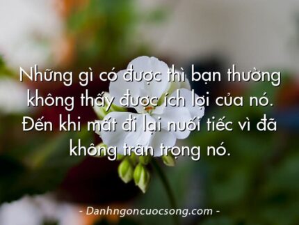 Những gì có được thì bạn thường không thấy được ích lợi của nó. Đến khi mất đi lại nuối tiếc vì đã không trân trọng nó.