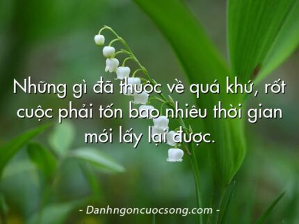 Những gì đã thuộc về quá khứ, rốt cuộc phải tốn bao nhiêu thời gian mới lấy lại được.