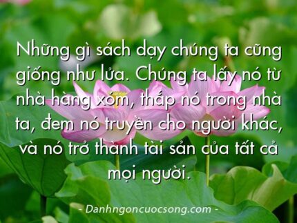 Những gì sách dạy chúng ta cũng giống như lửa. Chúng ta lấy nó từ nhà hàng xóm, thắp nó trong nhà ta, đem nó truyền cho người khác, và nó trở thành tài sản của tất cả mọi người.