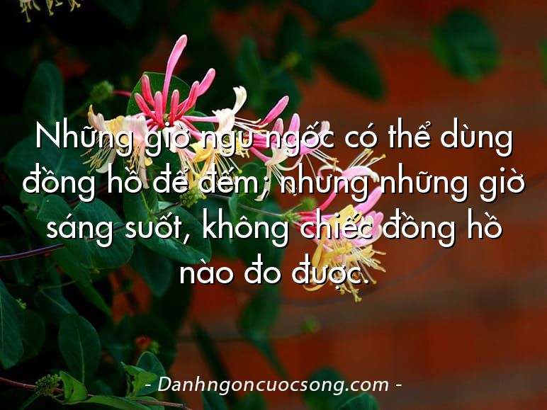 Những giờ ngu ngốc có thể dùng đồng hồ để đếm; nhưng những giờ sáng suốt, không chiếc đồng hồ nào đo được.
