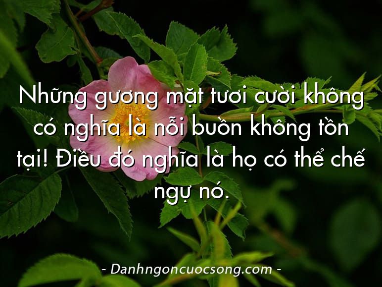 Những gương mặt tươi cười không có nghĩa là nỗi buồn không tồn tại! Điều đó nghĩa là họ có thể chế ngự nó.