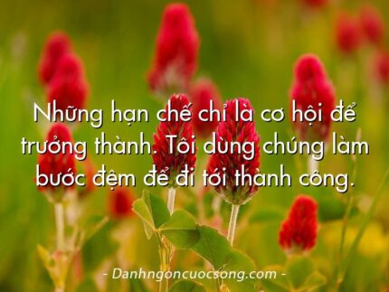 Những hạn chế chỉ là cơ hội để trưởng thành. Tôi dùng chúng làm bước đệm để đi tới thành công.