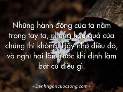 Những hành động của ta nằm trong tay ta, nhưng hậu quả của chúng thì không. Hãy nhớ điều đó, và nghĩ hai lần trước khi định làm bất cứ điều gì.
